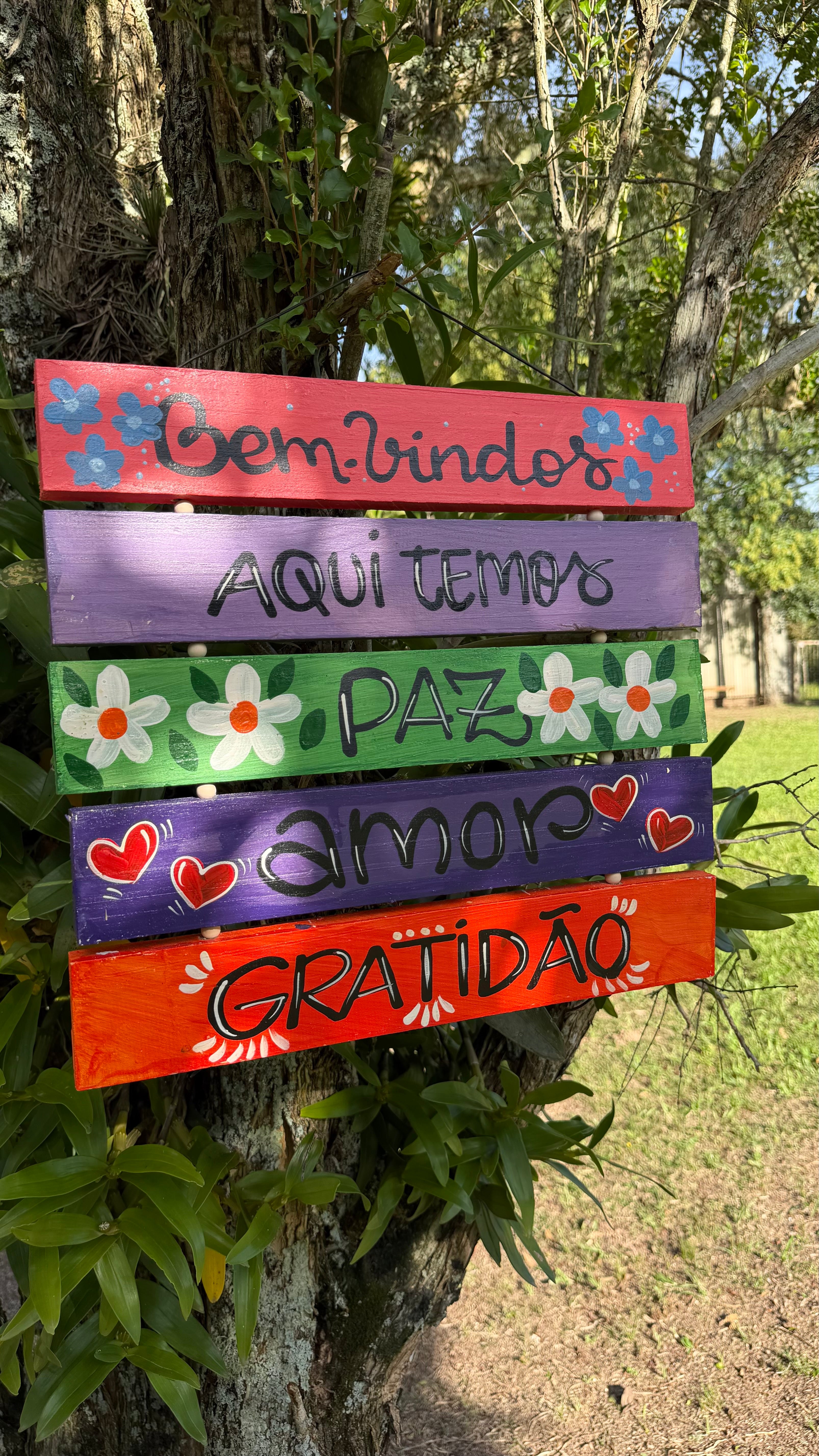 Placa com 5 Frases
