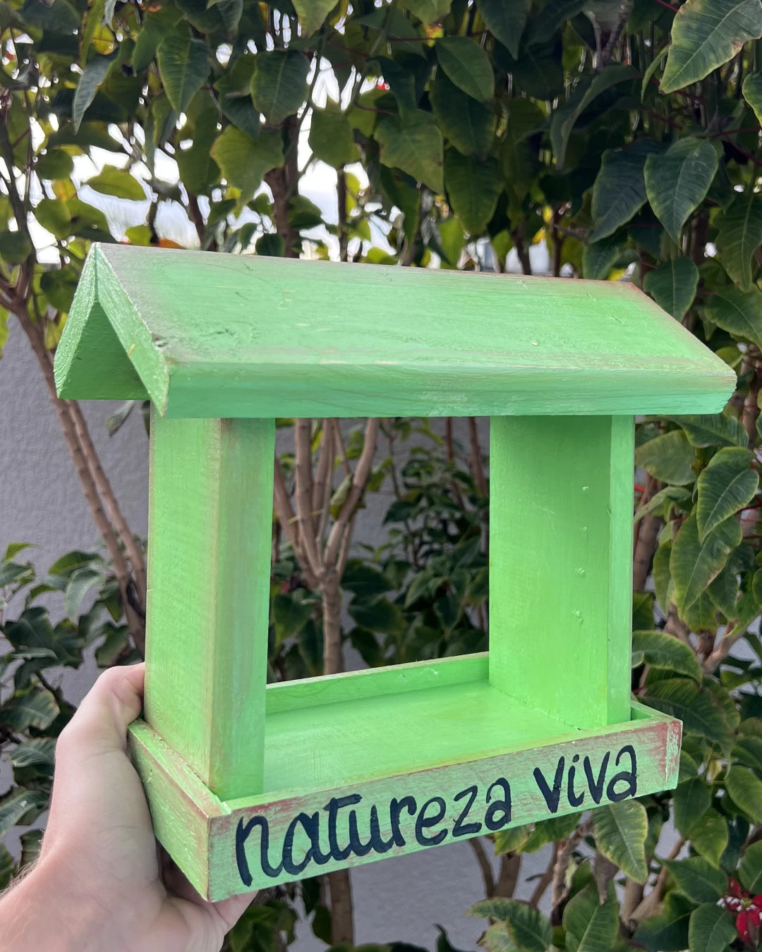 Comedouro Verde - Natureza Viva