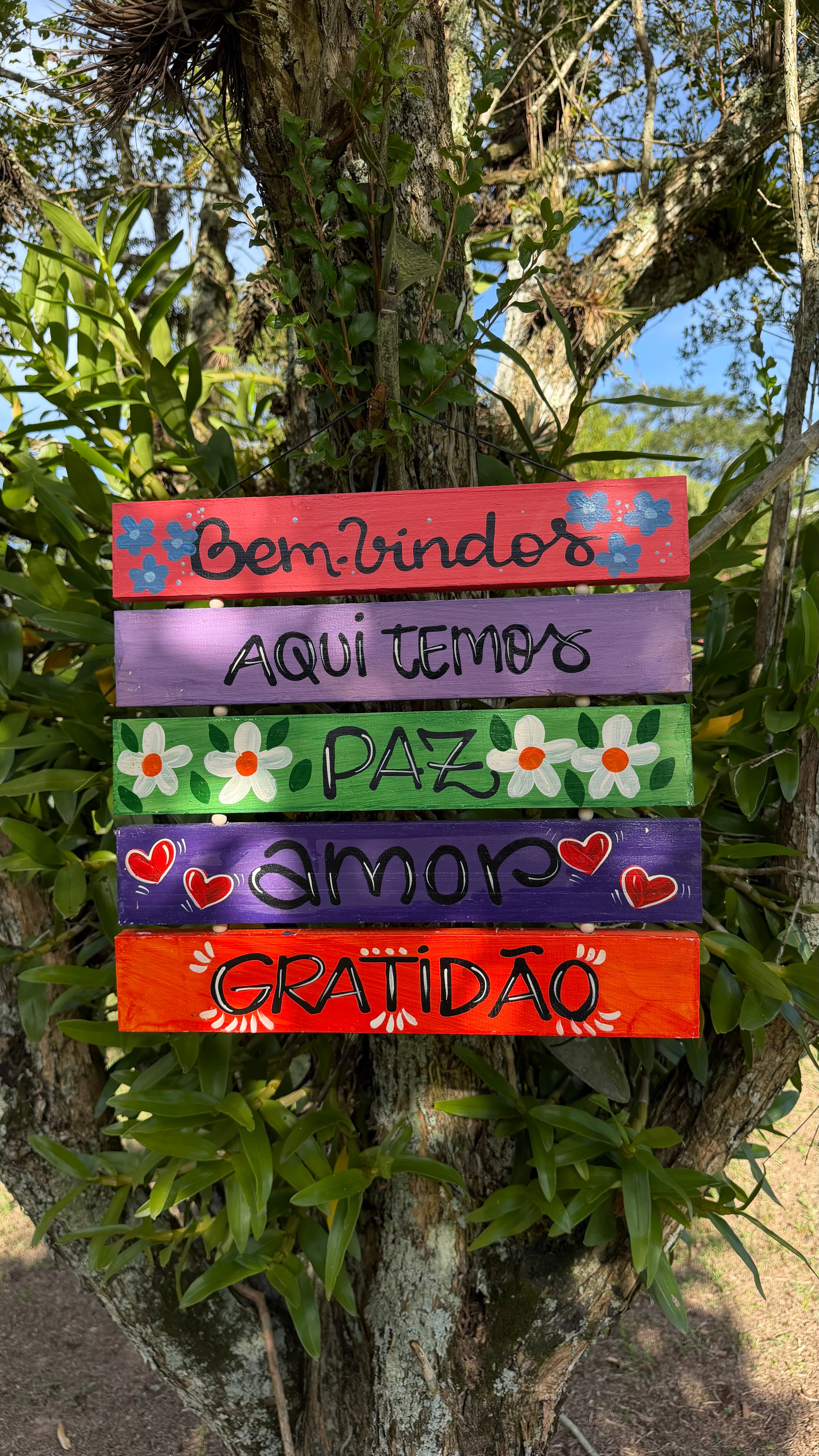 Placa com 5 Frases