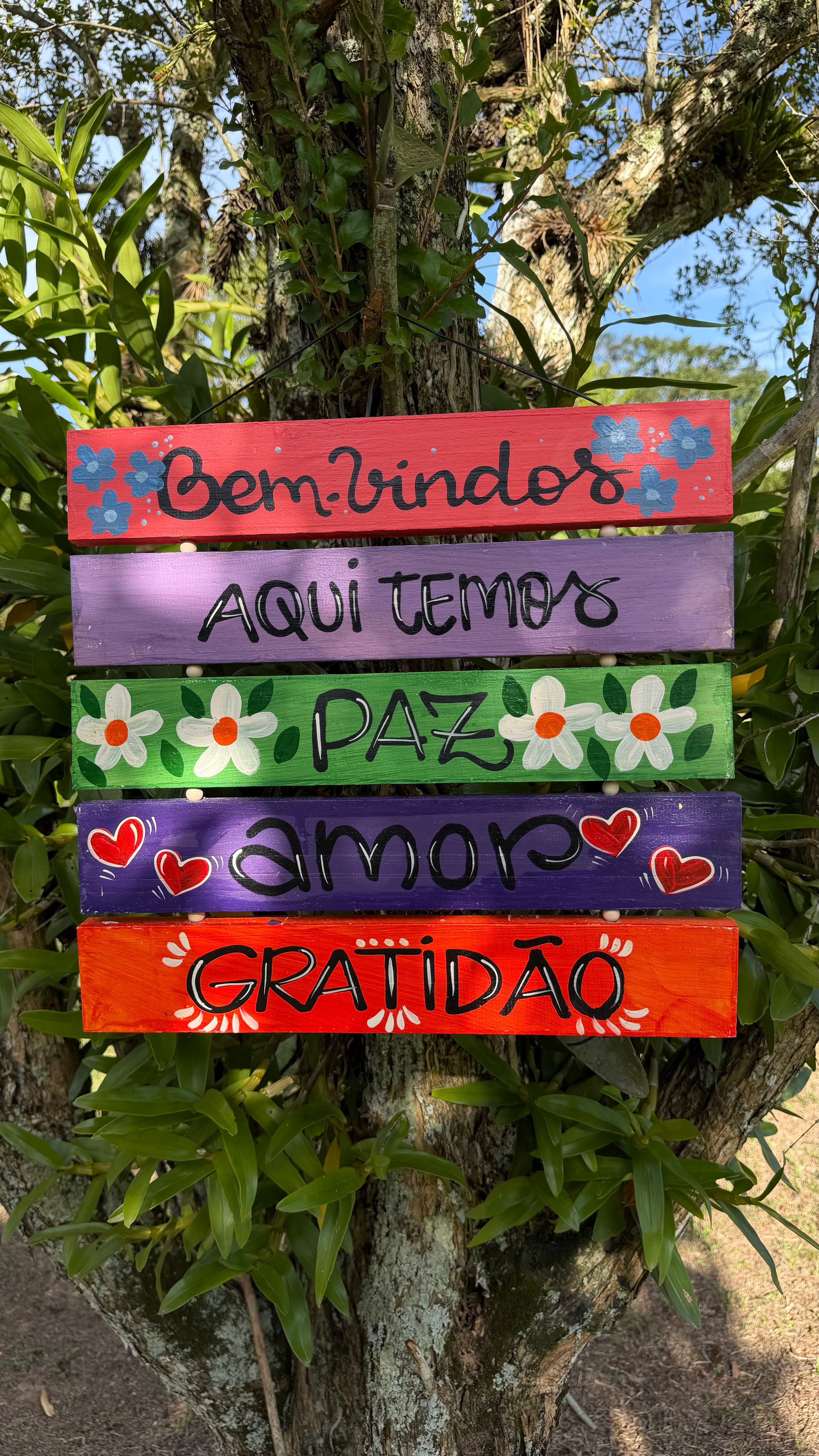 Placa com 5 Frases