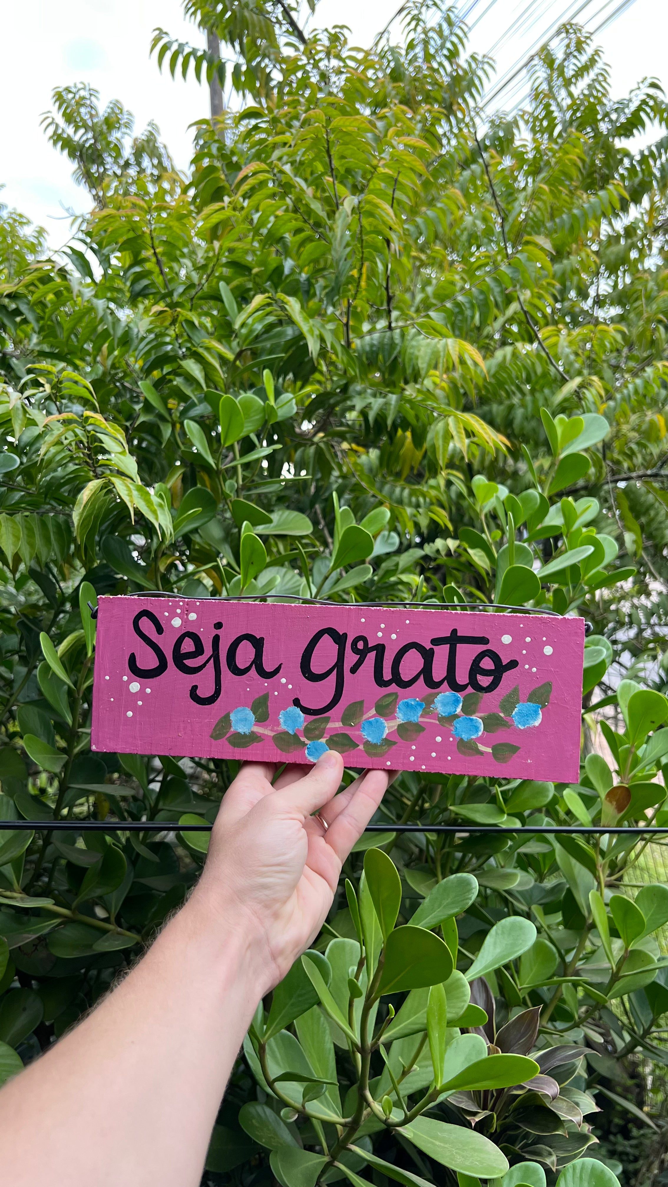 Placa Decorada Seja Grato
