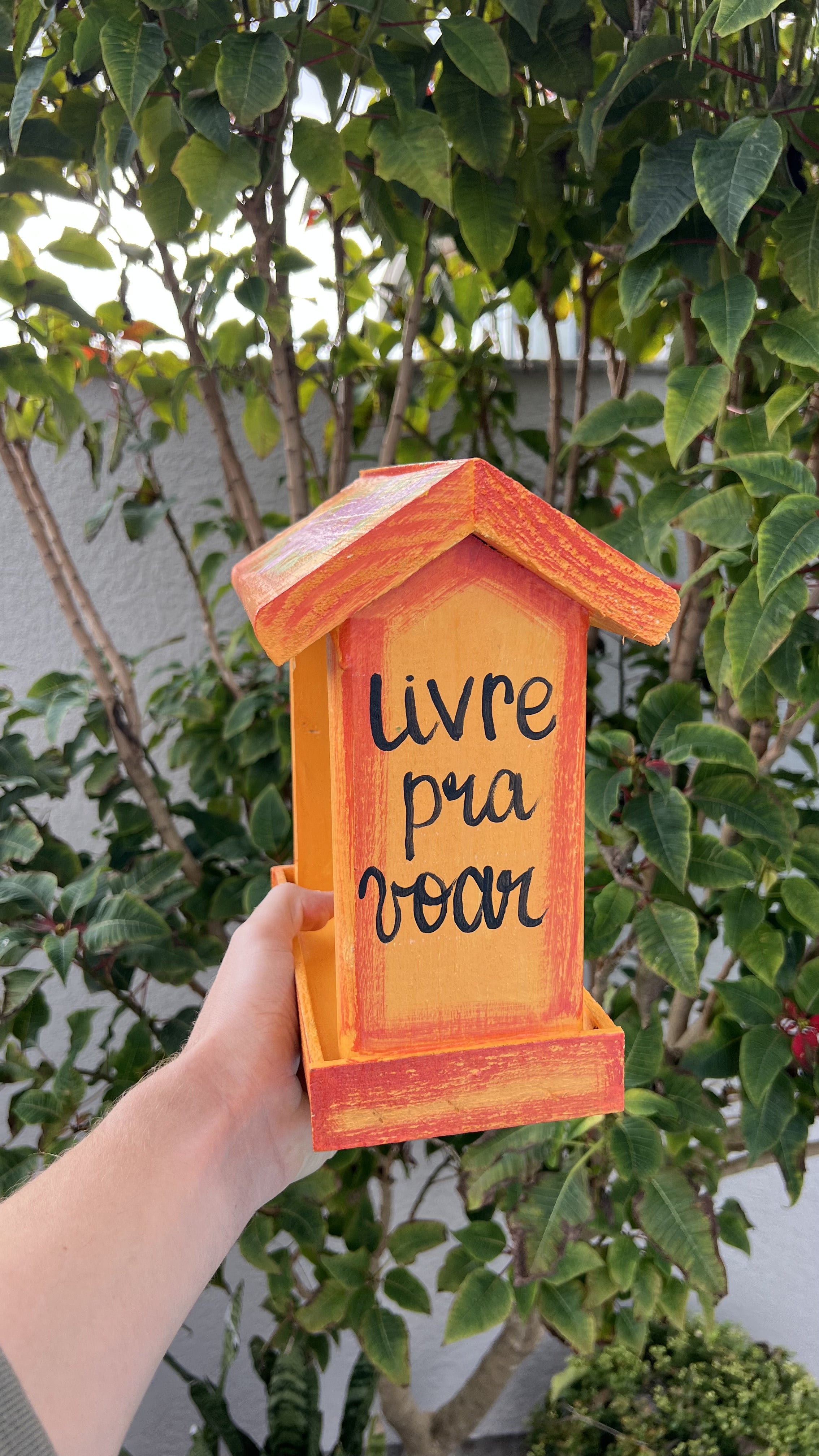 Comedouro Laranja - Livre pra Voar