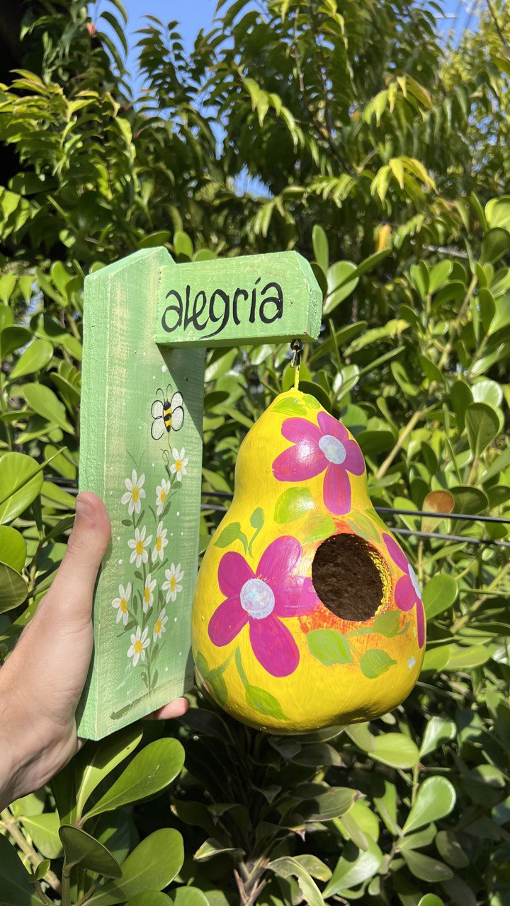 Kit com 10 Casinhas Decorada em Cabaça