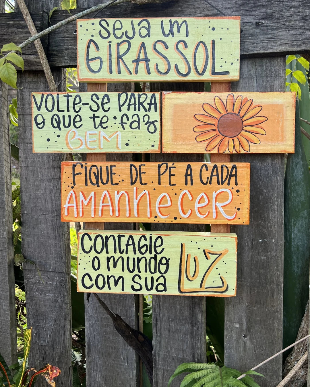 Placas