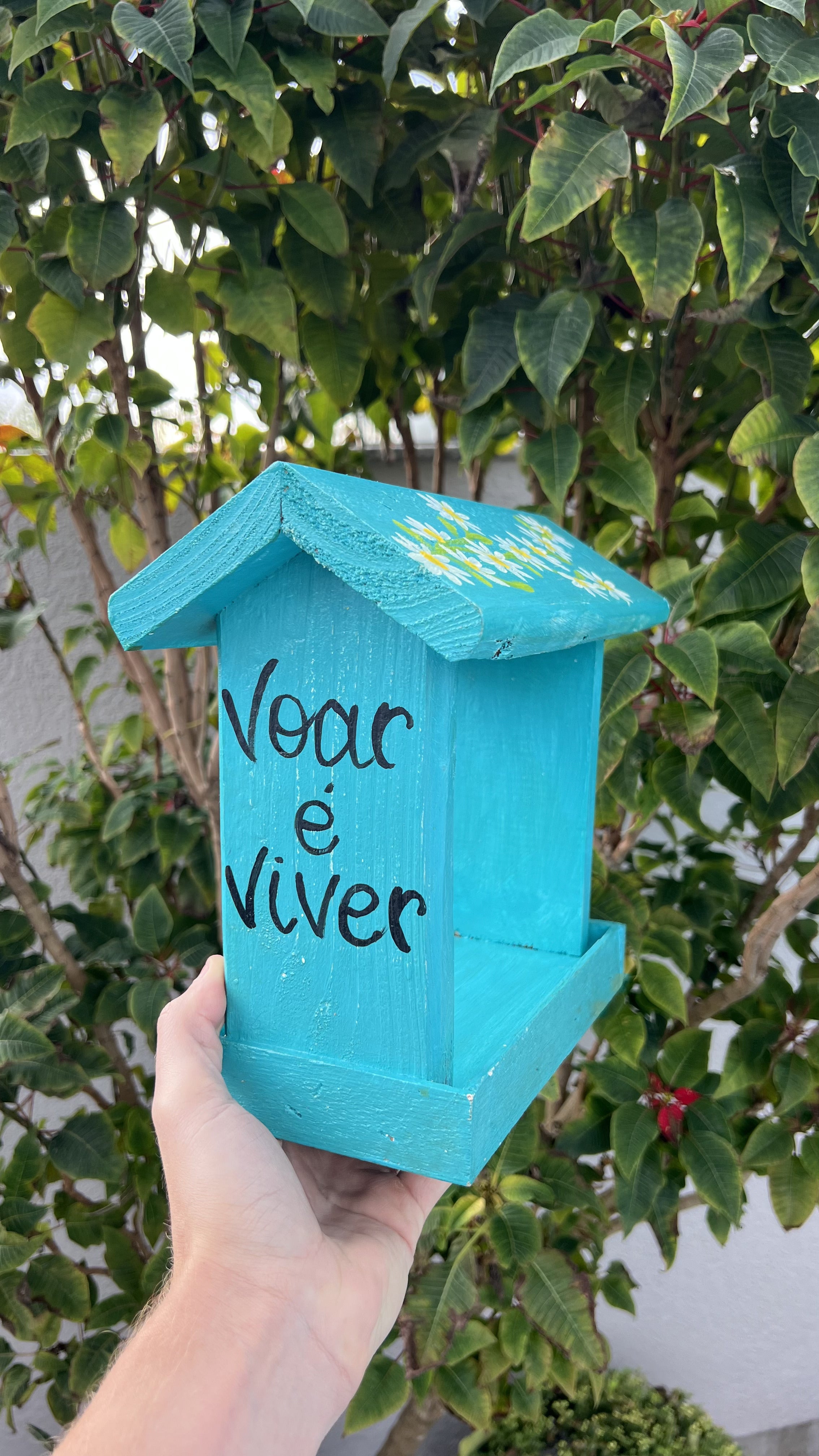 Comedouro Azul - Voar é Viver
